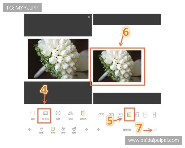 壹号平台app下载最新版免费下载安装流程及常见问题解答